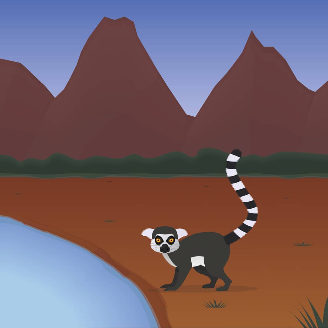 Illustration Madagascar