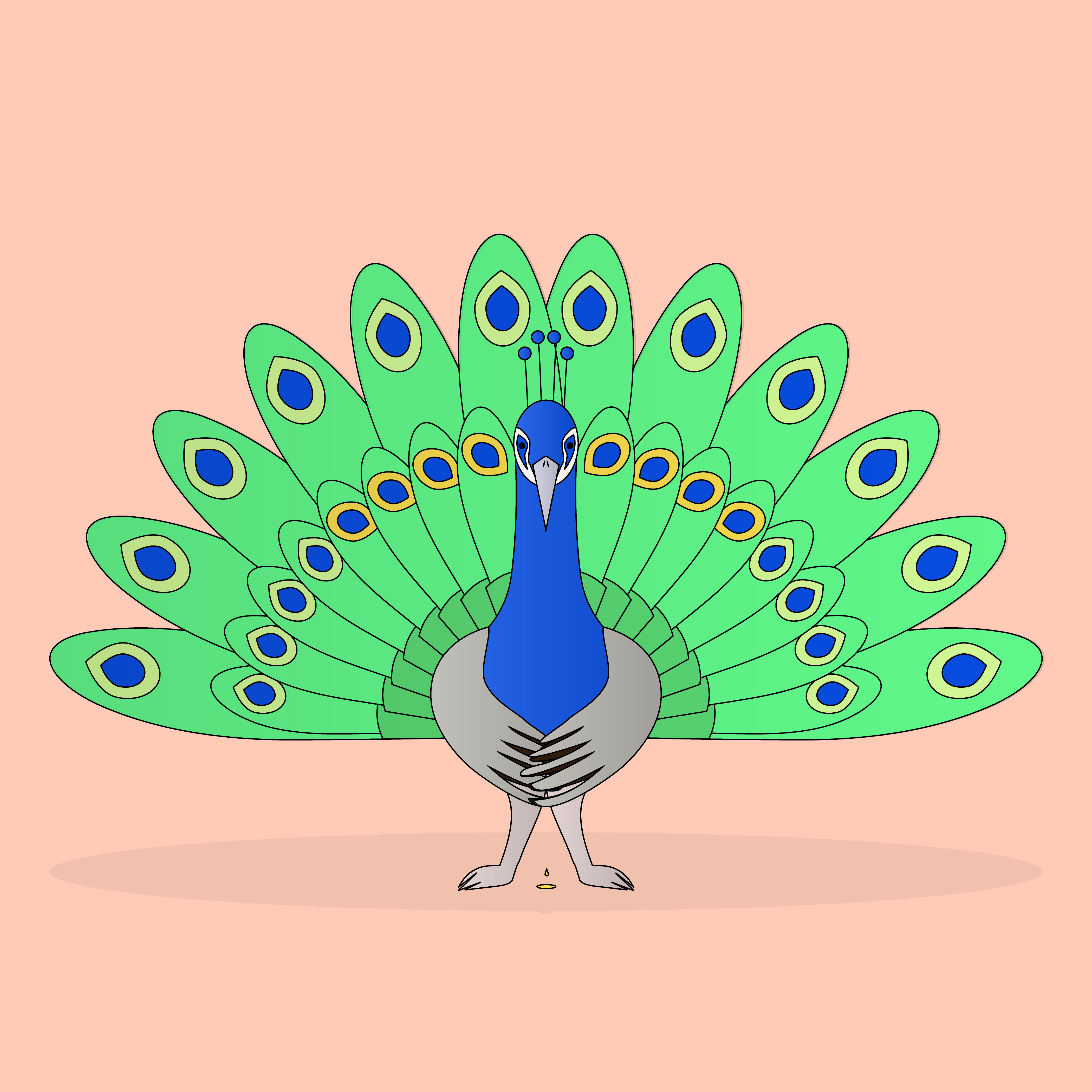 Illustration Peacock