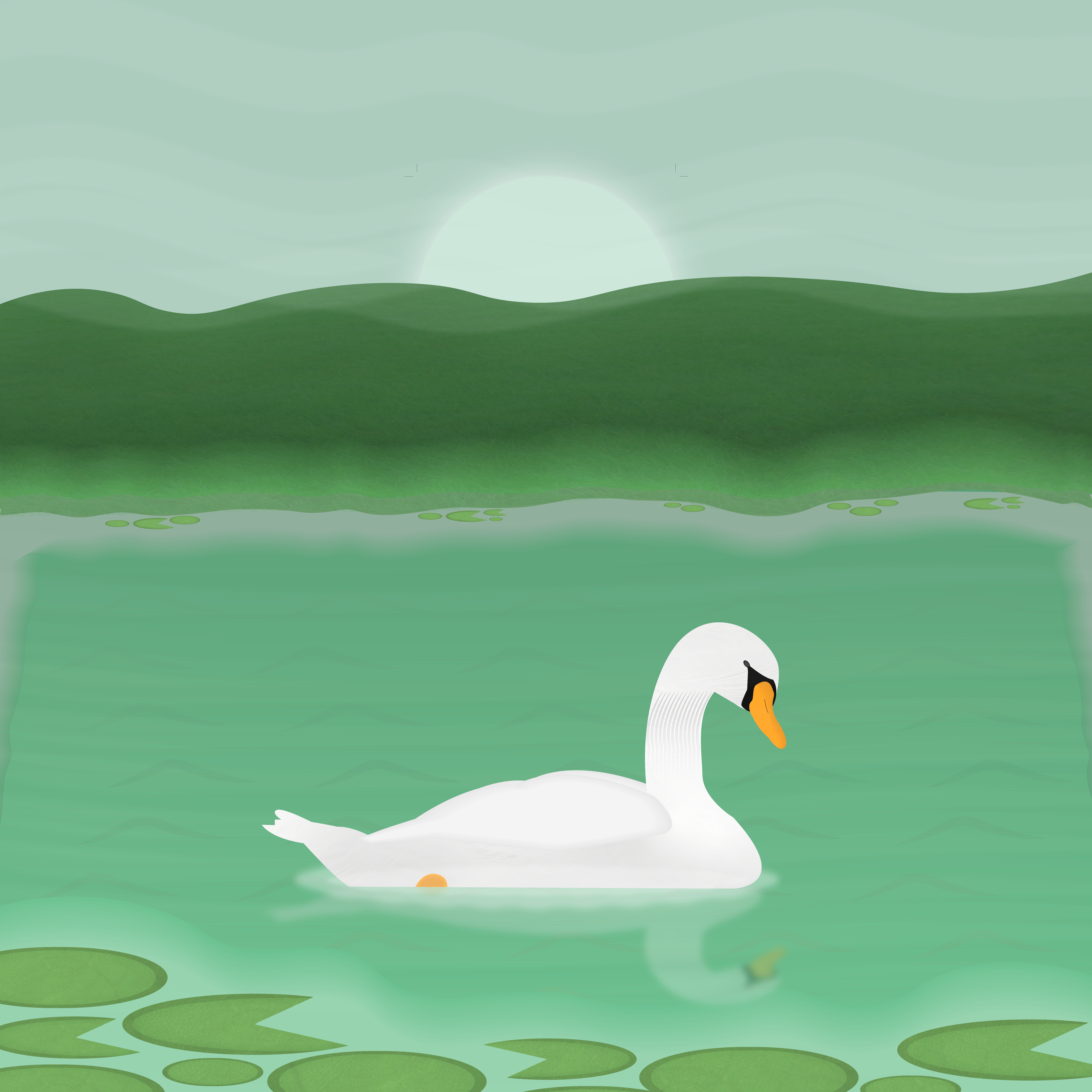 Illustration Swan Perfectly Imperfect