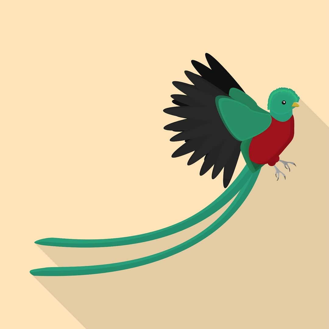 Illustration Quetzal